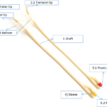 Foley Urine Catheter